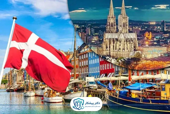 زبان و فرهنگ کاری