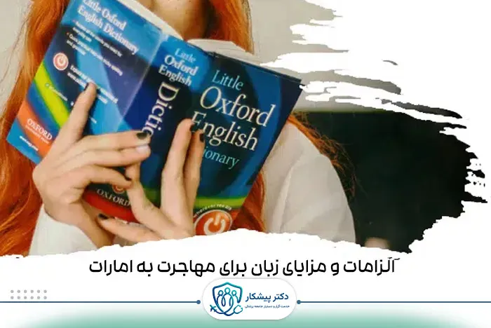 خلاصه‌ای از الزامات و مزایای زبان برای مهاجرت به امارات